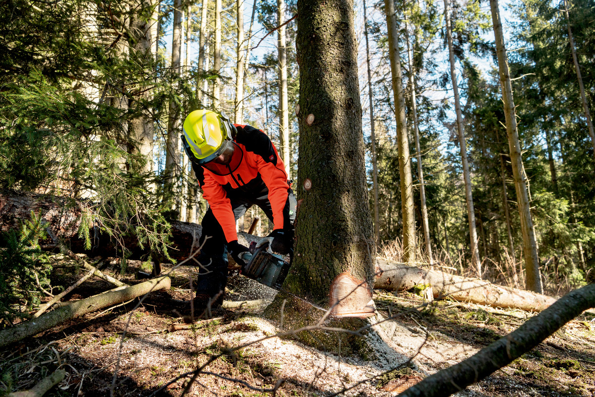 Metabo Akku-Kettensäge MS 36-18 LTX BL 40