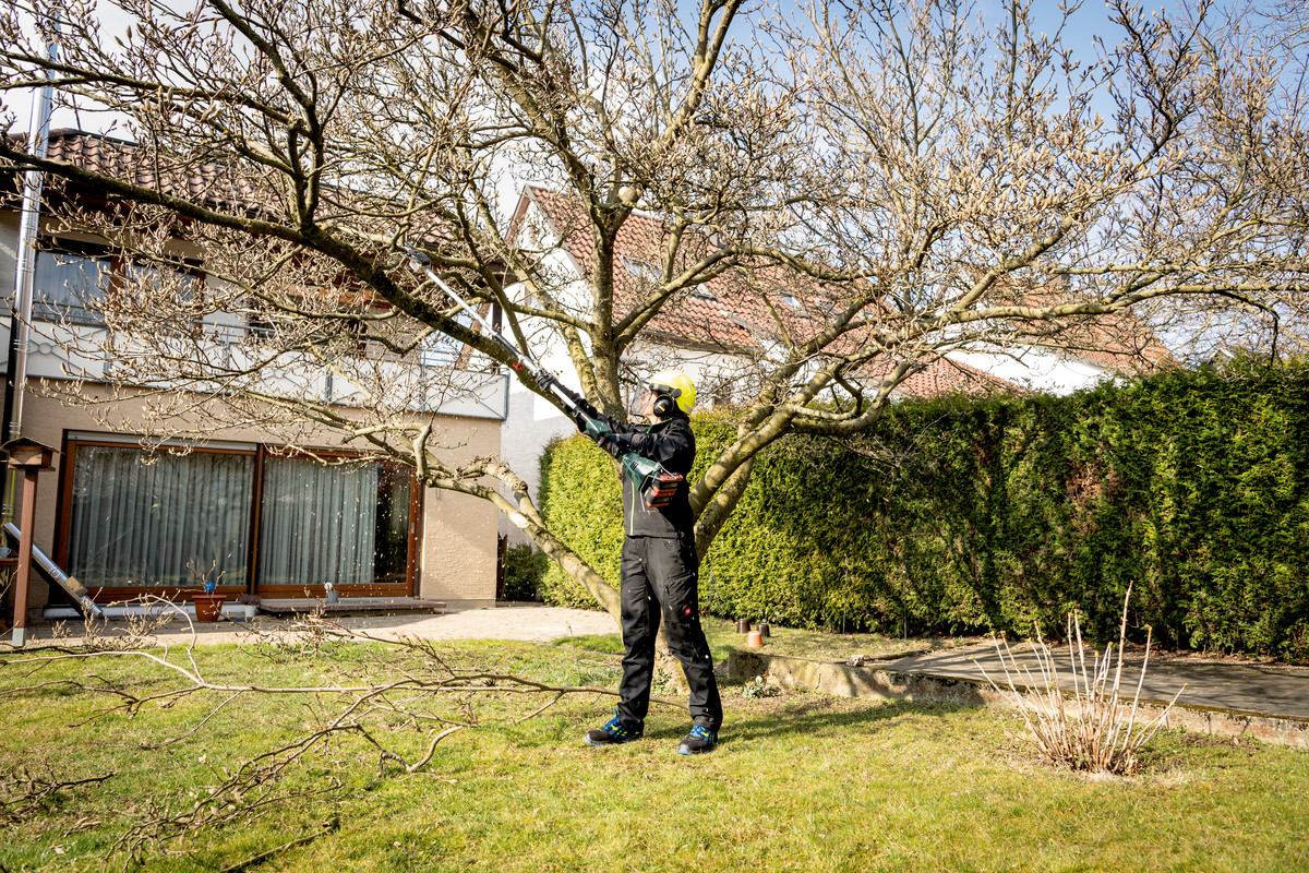 Metabo Hochentaster-Aufsatz MA-MS 25